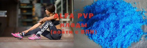 сатива Лабытнанги