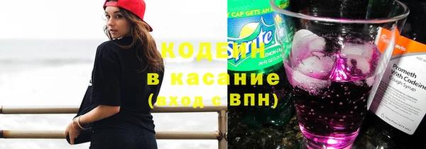 сатива Лабытнанги