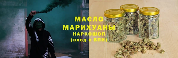 сатива Лабытнанги