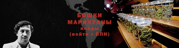 сатива Лабытнанги