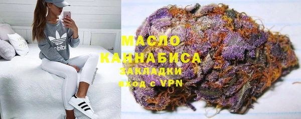 сатива Лабытнанги