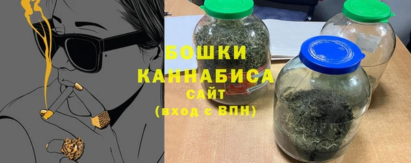 сатива Лабытнанги