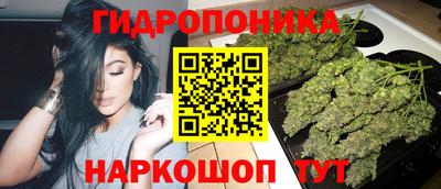 крисы Ирбит
