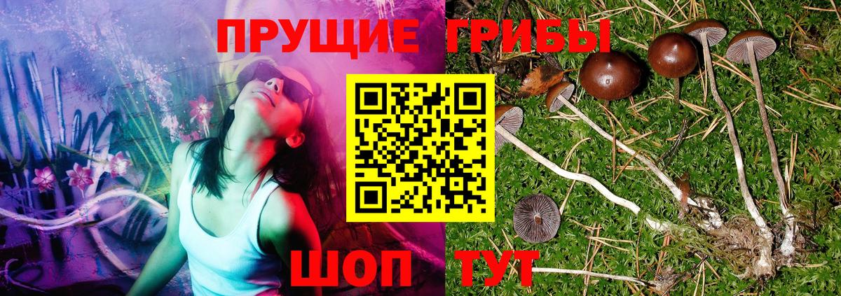 Галлюциногенные грибы MAGIC MUSHROOMS Южноуральск